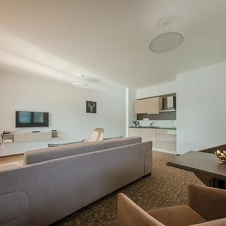 Village Hanuliak 아파트호텔 3*